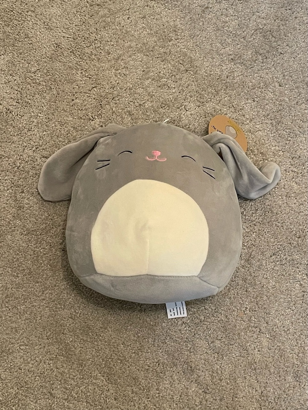 NWT Blake Bunny Squishmallow